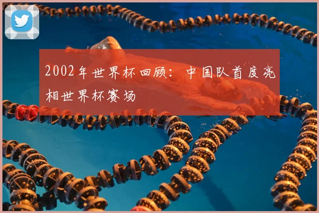 2002年世界杯回顾：中国队首度亮相世界杯赛场