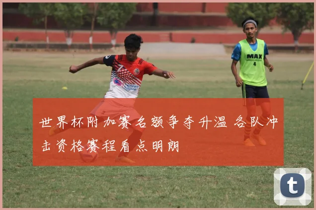 世界杯附加赛名额争夺升温 各队冲击资格赛程看点明朗