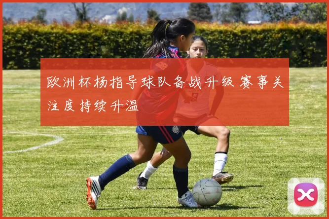 欧洲杯杨指导球队备战升级 赛事关注度持续升温