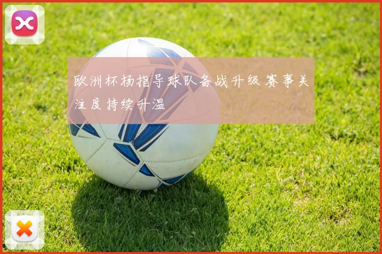 欧洲杯杨指导球队备战升级 赛事关注度持续升温
