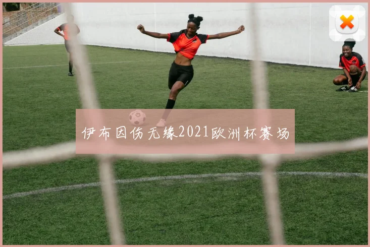 伊布因伤无缘2021欧洲杯赛场