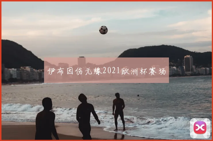 伊布因伤无缘2021欧洲杯赛场