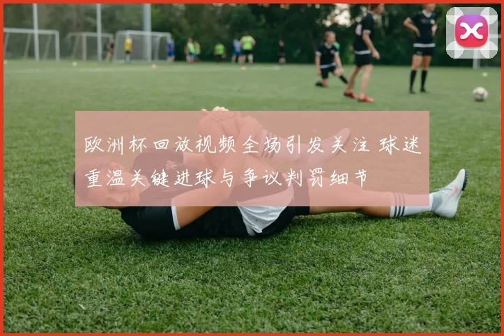 欧洲杯回放视频全场引发关注 球迷重温关键进球与争议判罚细节