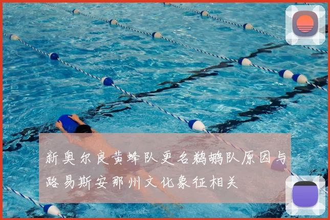 新奥尔良黄蜂队更名鹈鹕队原因与路易斯安那州文化象征相关