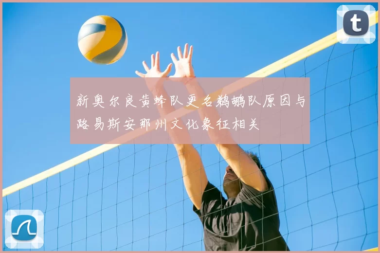 新奥尔良黄蜂队更名鹈鹕队原因与路易斯安那州文化象征相关